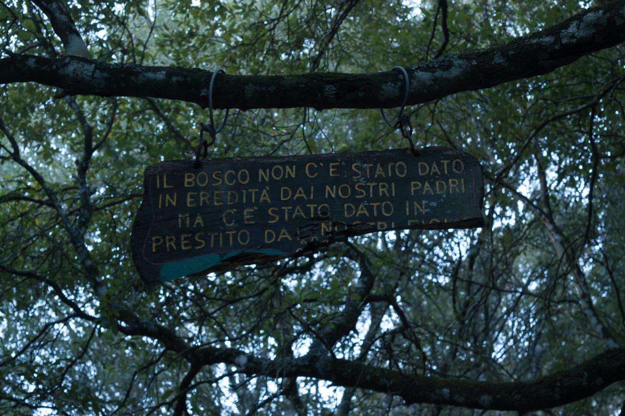 Nel verde del Villaggio - Casetta Celeste Gonnesa Esterno foto